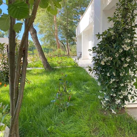 Villa Hanna Ulcinj Eksteriør bilde
